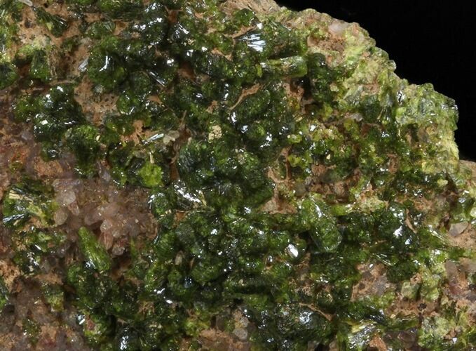 Lustrous, Epidote Crystal Cluster - Morocco #40874